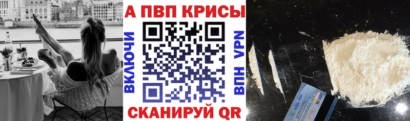 купить  цена  Суворов  A PVP крисы CK 