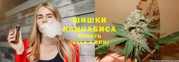 гидра Верхний Тагил