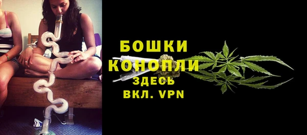 гидра Верхний Тагил
