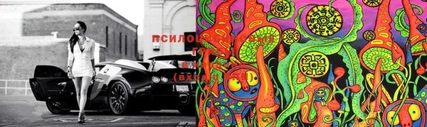2c-b Бронницы