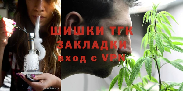 гидра Верхний Тагил