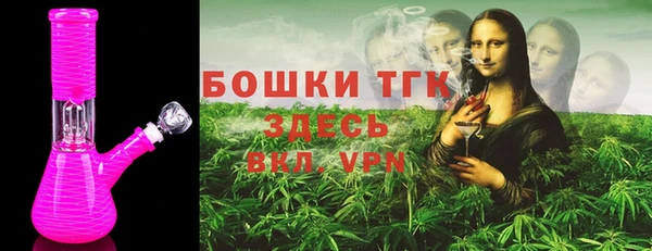 индика Верея