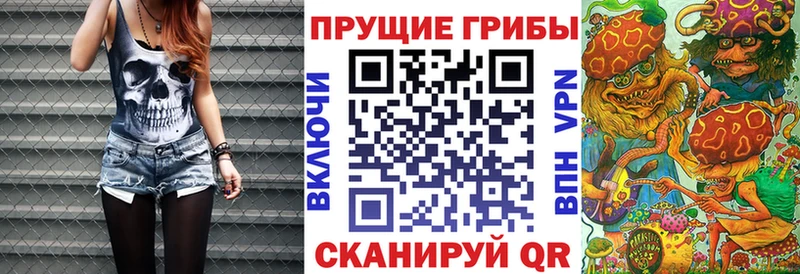kraken ССЫЛКА  Суворов  Псилоцибиновые грибы Cubensis 